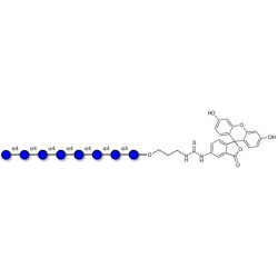 Maltooctaose DP8 linked to fluorescein (Linker-FLUO A)