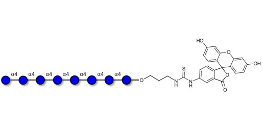 Maltooctaose DP8 linked to fluorescein (Linker-FLUO A)
