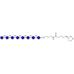 Maltooctaose DP8 with cyclic di-thiol (Linker-LIPO A)