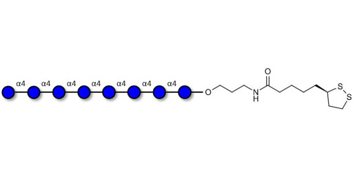 Maltooctaose DP8 with cyclic di-thiol (Linker-LIPO A)