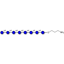 Maltooctaose DP8 with free terminal amine (Linker-NH2 A)