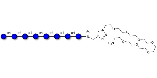 Maltooctaose DP8 with free terminal amine (Linker-NH2 C)