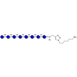 Maltooctaose DP8 with free terminal amine (Linker-NH2 D)