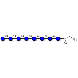 Maltooctaose DP8 with terminal alkyne (Linker-CΞCH A)