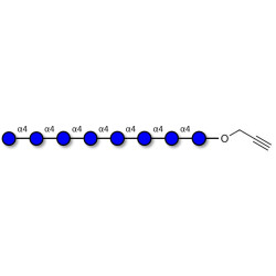 Maltooctaose DP8 with terminal alkyne (Linker-CΞCH B)