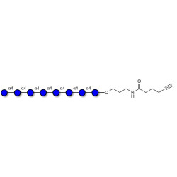 Maltooctaose DP8 with terminal alkyne (Linker-CΞCH C)