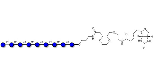Maltononaose DP9 linked to biotin (Linker-BT C)