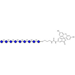 Maltononaose DP9 linked to fluorescein (Linker-FLUO A)