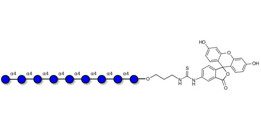 Maltononaose DP9 linked to fluorescein (Linker-FLUO A)