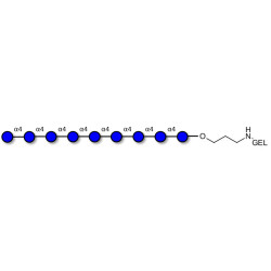 Maltononaose DP9 grafted on gel for affinity chromatography (Linker-GEL B)