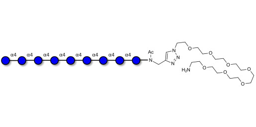 Maltononaose DP9 with free terminal amine (Linker-NH2 C)