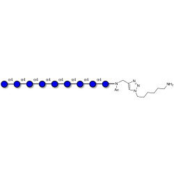 Maltononaose DP9 with free terminal amine (Linker-NH2 D)
