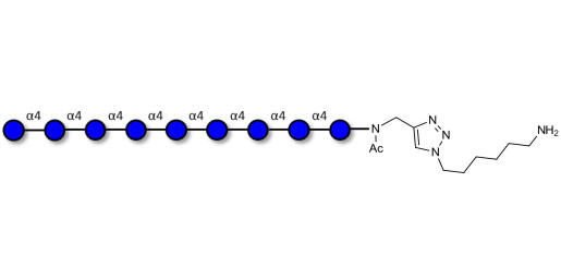 Maltononaose DP9 with free terminal amine (Linker-NH2 D)