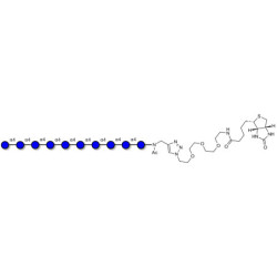 Maltodecaose DP10 linked to biotin (Linker-BT A)