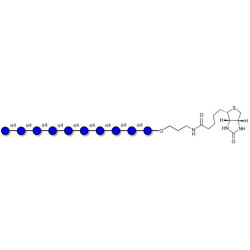 Maltodecaose DP10 linked to biotin (Linker-BT B)