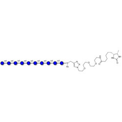 Maltodecaose DP10 linked to desthiobiotin (Linker-DBT-A)
