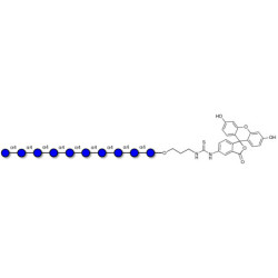 Maltodecaose DP10 linked to fluorescein (Linker-FLUO A)