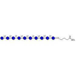Maltodecaose DP10 grafted on gel for affinity chromatography (Linker-GEL B)