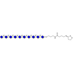 Maltodecaose DP10 with cyclic di-thiol (Linker-LIPO A)