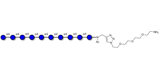 Maltodecaose DP10 with free terminal amine (Linker-NH2 B)