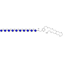 Maltodecaose DP10 with free terminal amine (Linker-NH2 C)
