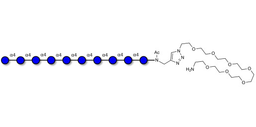 Maltodecaose DP10 with free terminal amine (Linker-NH2 C)