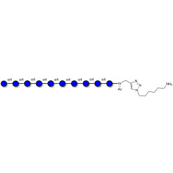 Maltodecaose DP10 with free terminal amine (Linker-NH2 D)