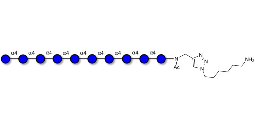 Maltodecaose DP10 with free terminal amine (Linker-NH2 D)