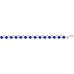 Maltotetradecaose DP14 grafted on OVA