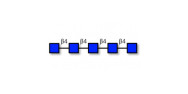 Chitinpentaose DP5 (>85% NMR)