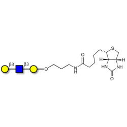 Core type 1 triose linked to biotin (Linker-BT B)