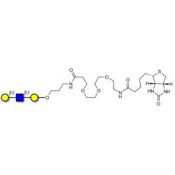 Core type 1 triose linked to biotin (Linker-BT C)