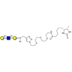 Core type 1 triose linked to desthiobiotin (Linker-DBT-A)