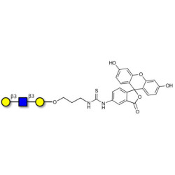 Core type 1 triose linked to fluorescein (Linker-FLUO A)