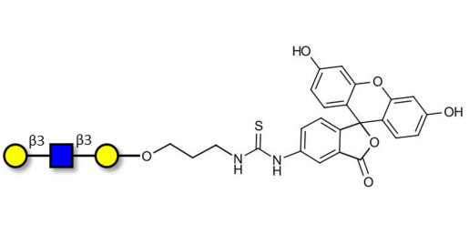 Core type 1 triose linked to fluorescein (Linker-FLUO A)