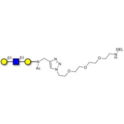 Core type 1 triose grafted on gel for affinity chromatography (Linker-GEL A)