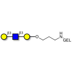 Core type 1 triose grafted on gel for affinity chromatography (Linker-GEL B)
