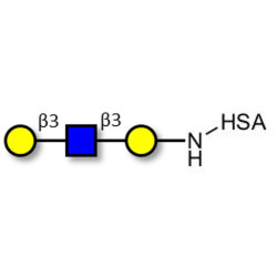 Core type 1 triose grafted on HSA