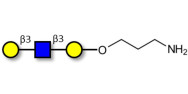 Core type 1 triose with...