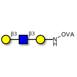 Core type 1 triose grafted on OVA