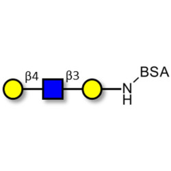 Core type 2 triose grafted on BSA