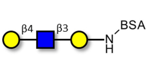 Core type 2 triose grafted on BSA