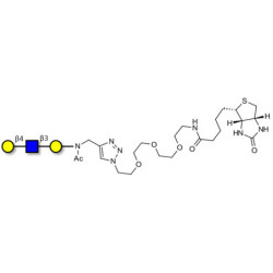 Core type 2 triose linked to biotin (Linker-BT A)