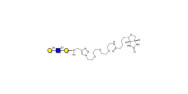 Core type 2 triose linked...