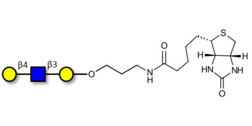Core type 2 triose linked to biotin (Linker-BT B)