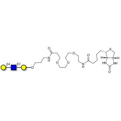 Core type 2 triose linked to biotin (Linker-BT C)