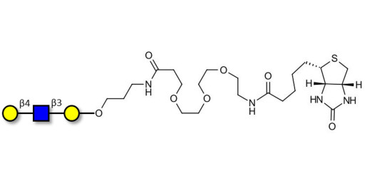 Core type 2 triose linked to biotin (Linker-BT C)