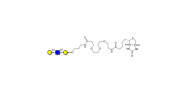 Core type 2 triose linked...