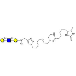 Core type 2 triose linked to desthiobiotin (Linker-DBT-A)