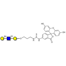 Core type 2 triose linked to fluorescein (Linker-FLUO A)